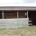 Відгук про База відпочинку Каштан, common.months_num.08 2016, фото 1