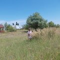 Отзыв про База отдыха Пуща-Водица, common.months_num.08 2016, фото 24